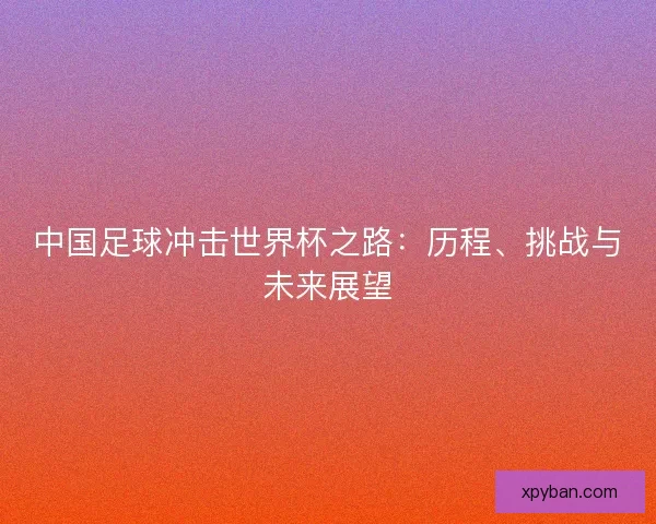 中国足球冲击世界杯之路：历程、挑战与未来展望